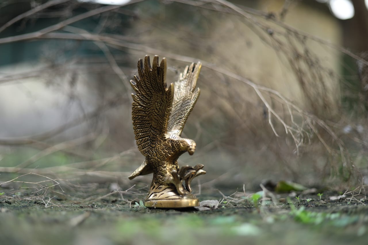 Eagle