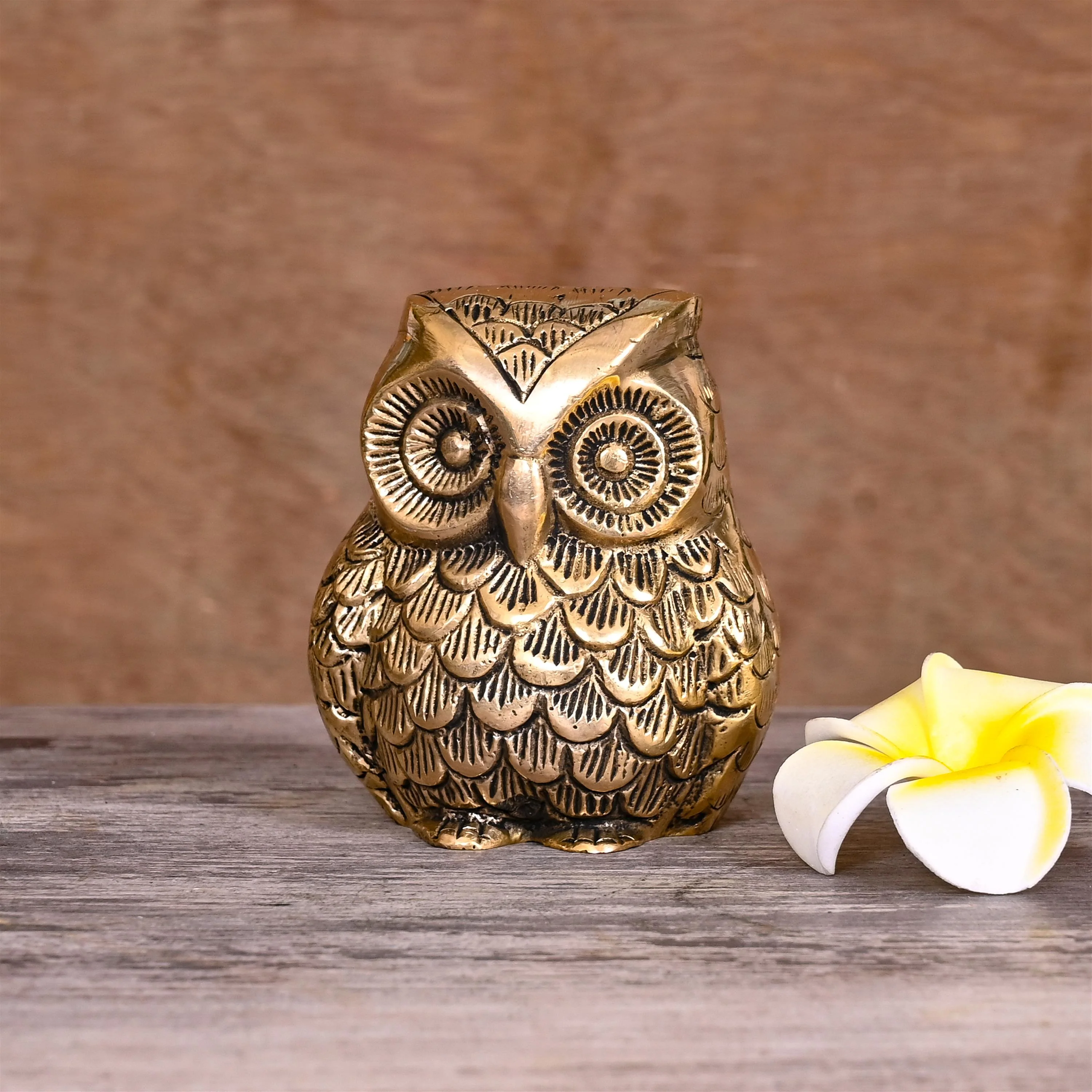 owl