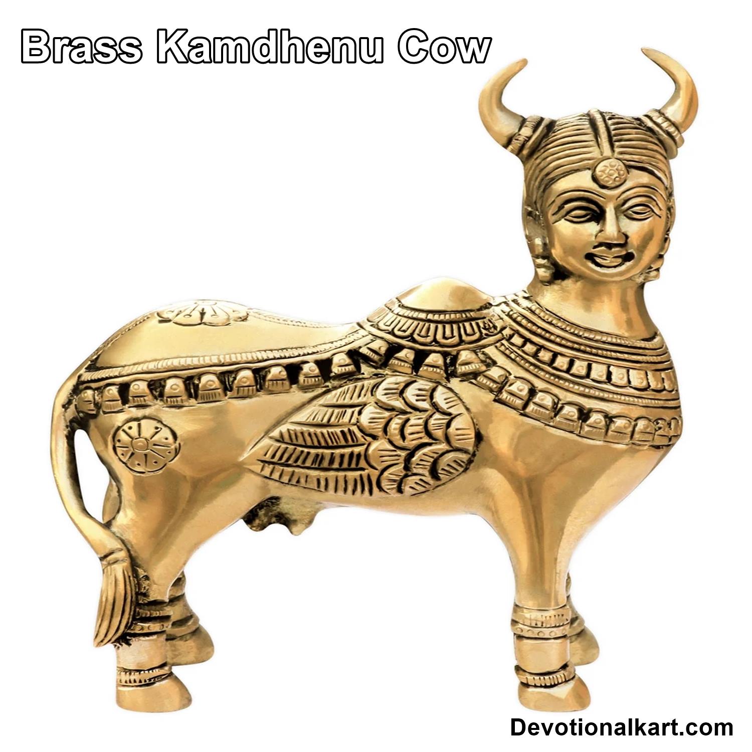kaamdhenu cow