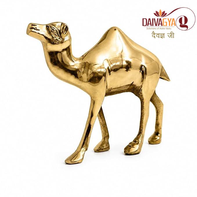 Daivagya.G cemal